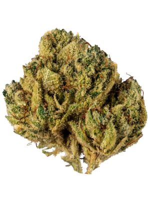 Alien Cookies