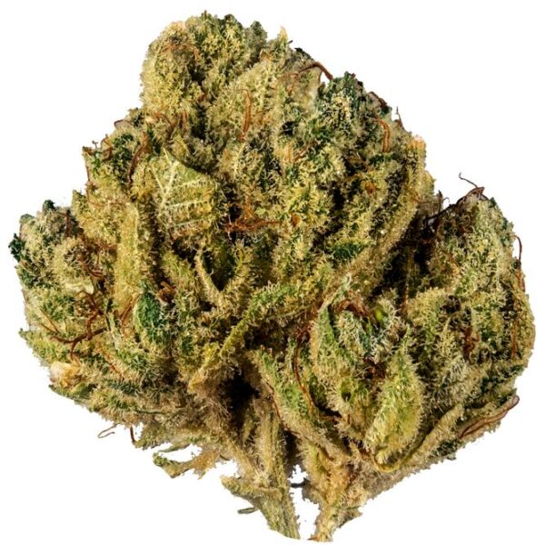 Alien Cookies