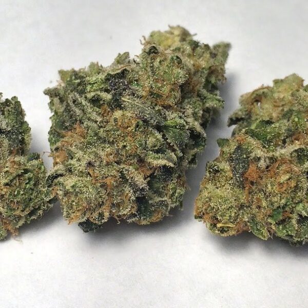 Girl scout cookies