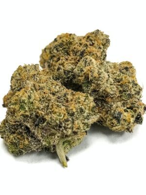 Northern Lights