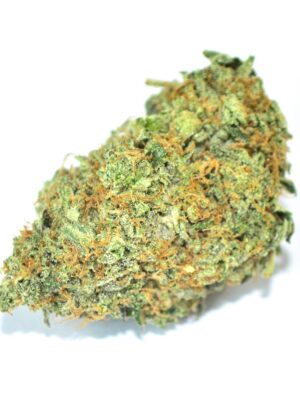 Platinum Bubba